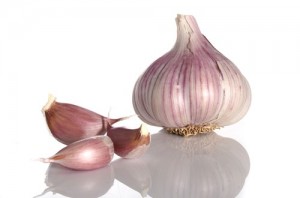 garlic-500x330